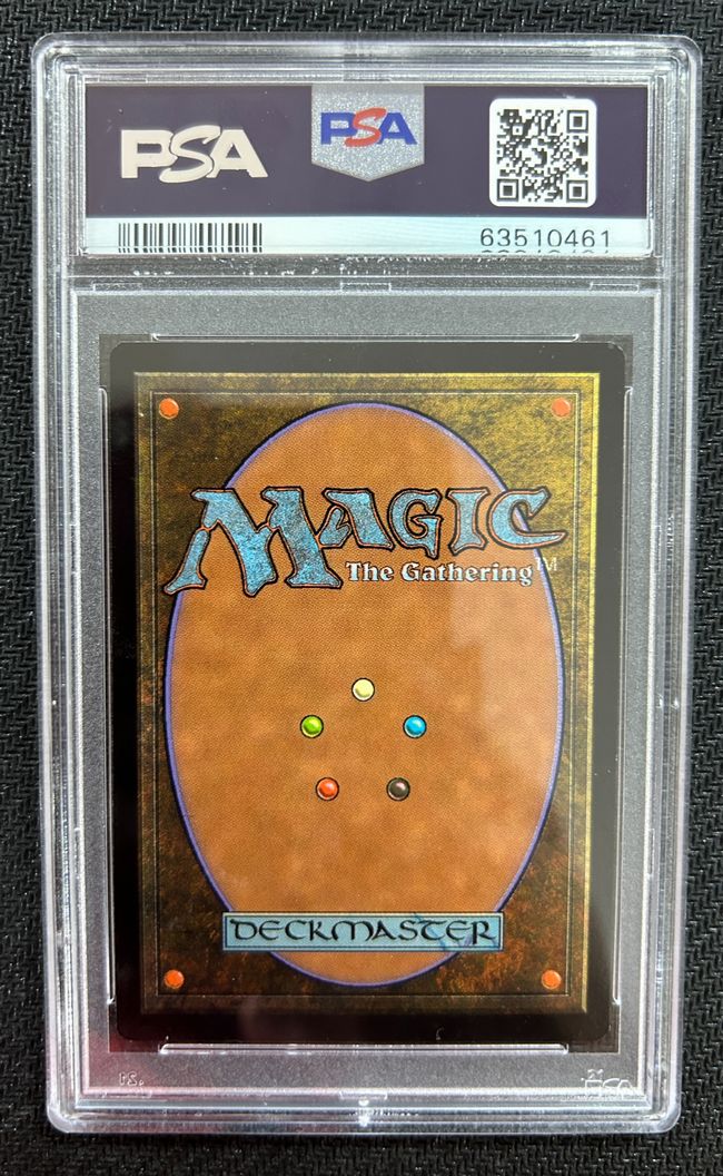 mtg 荊州占拠 日本語