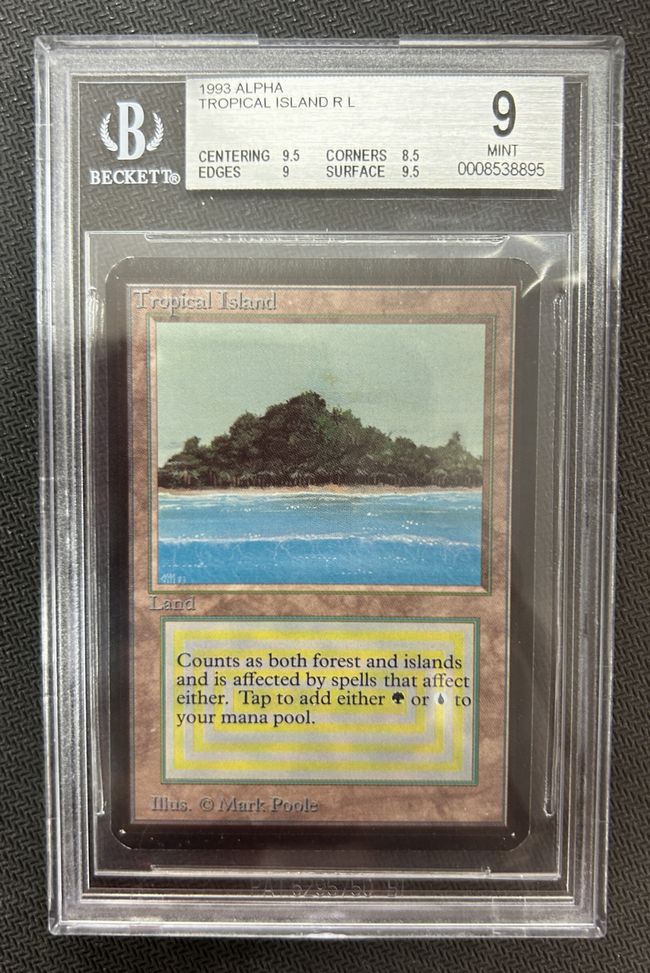 MTG 島 Island LEA NM-