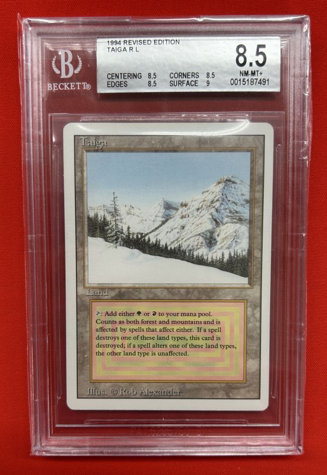 マジック：ザ・ギャザリング MTG Taiga Taiga》[3ED] 土地R | 日本最大