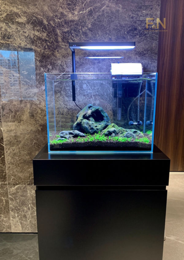 八海石八海山石アクアリウムADA 石組万天石龍王石水石盆石