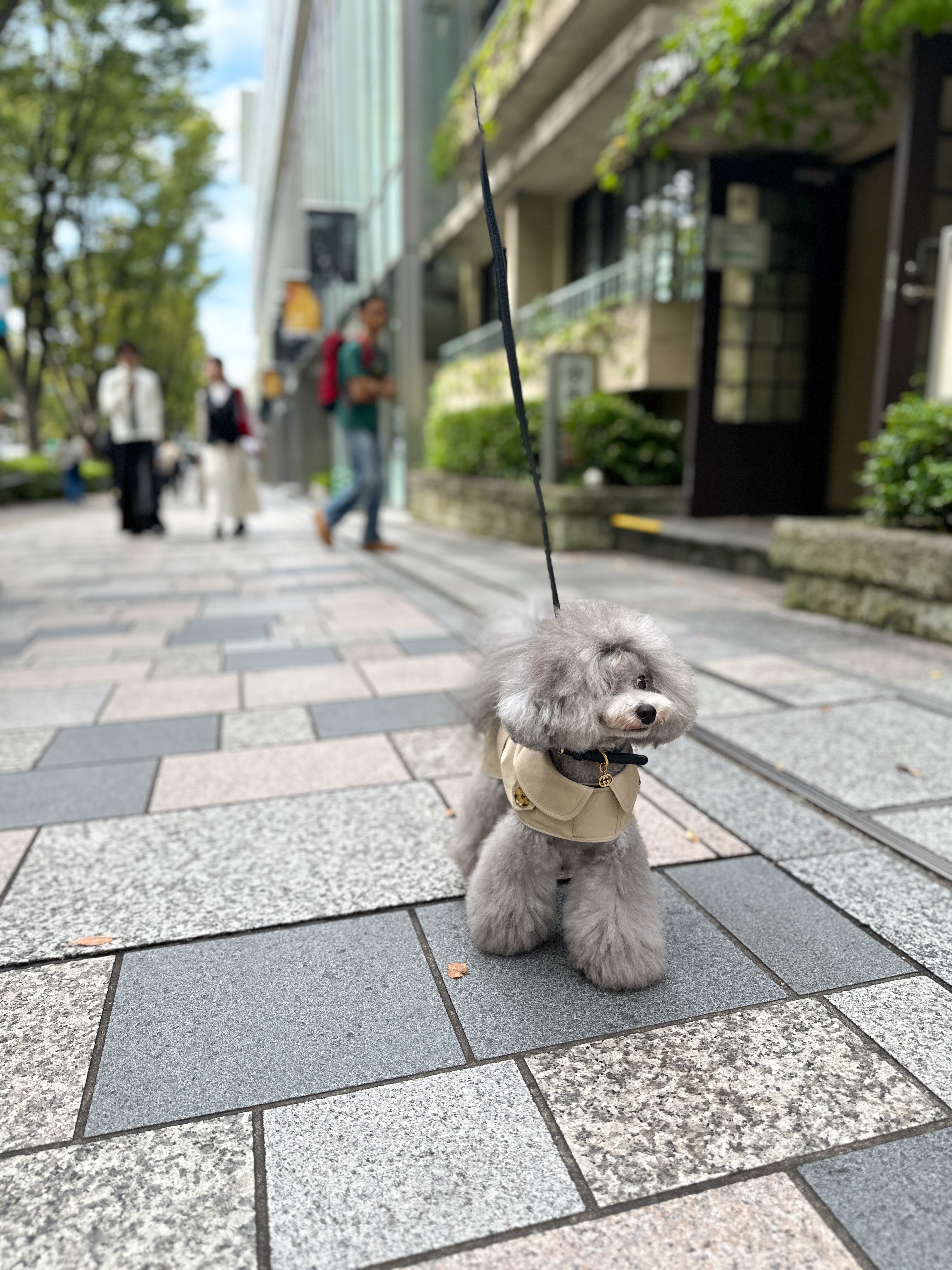 ウォータープルーフトレンチコート – Forest Tokyo