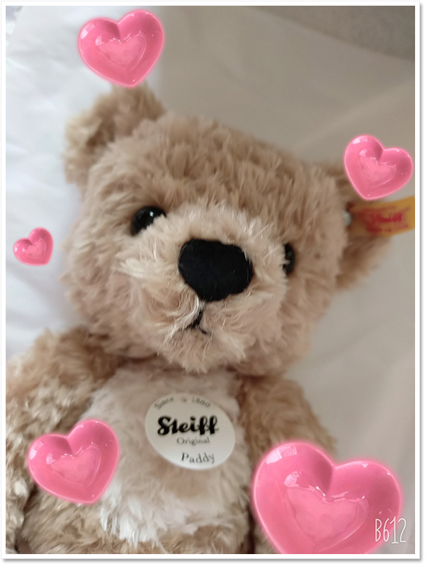 Steiff シュタイフ 日本の名花 シリーズ momo モモ Steiffシュタイフ