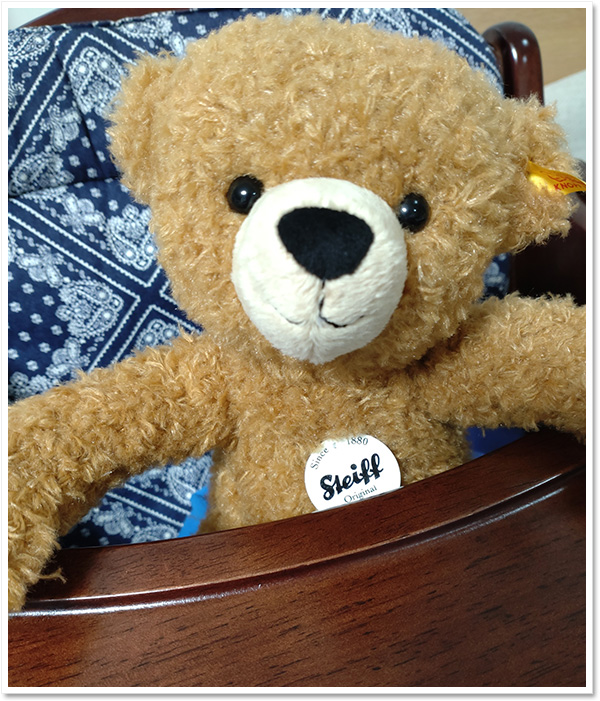 Steiff シュタイフ ハイデンベルグフラタニティ ステューデント テディベア