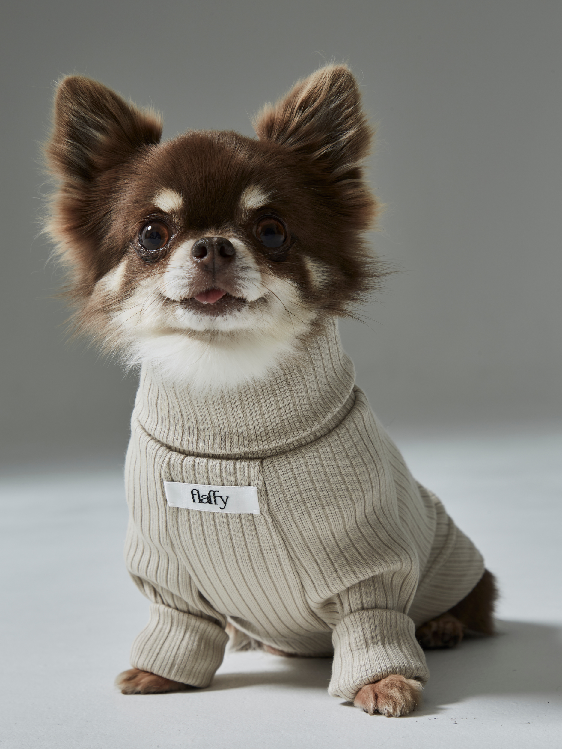 rib tops（リブトップス）｜【公式】FLAFFY（フラッフィー）｜イヌと