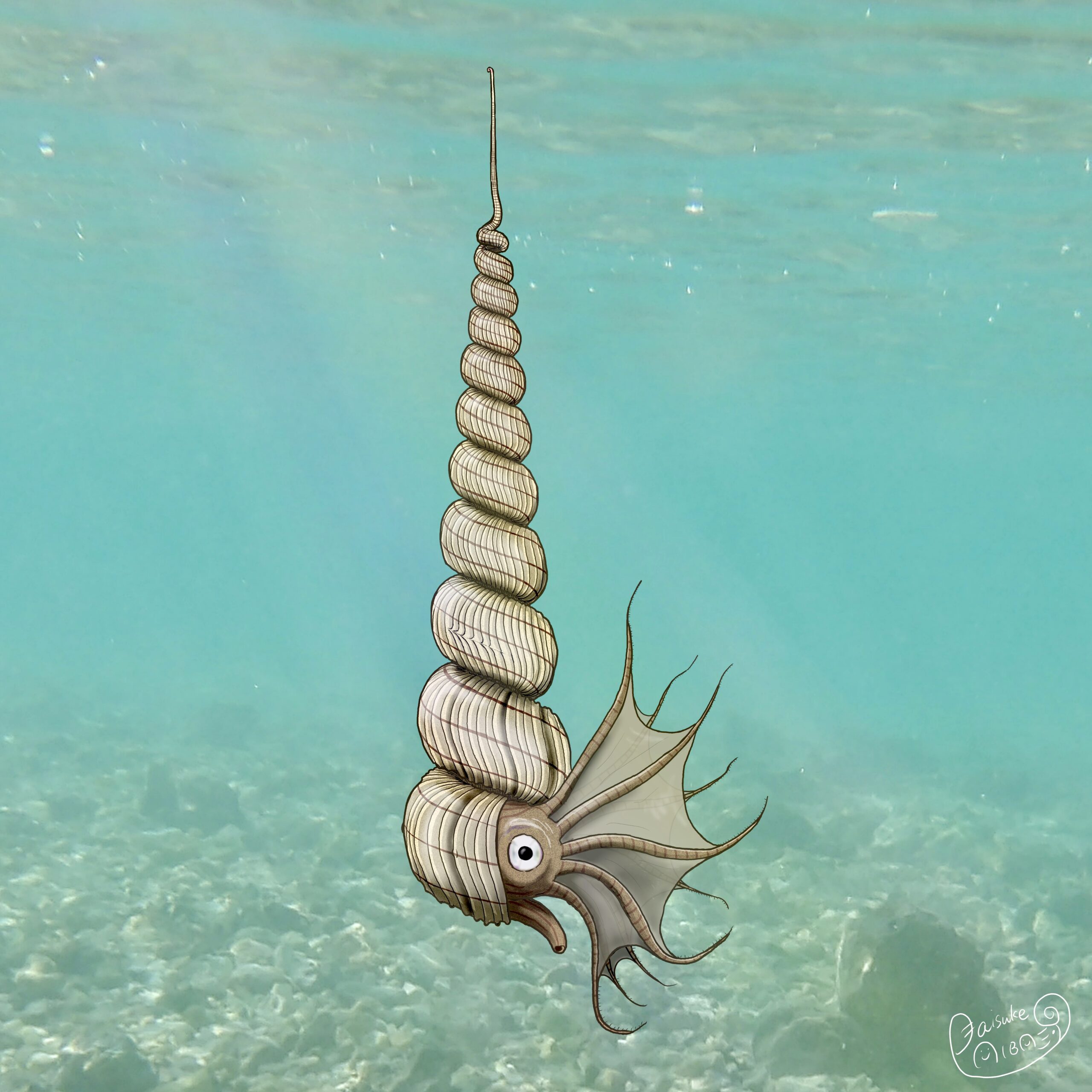 kimio 化石ユウボストリセラスとムラモトセラス ノストセラス科の