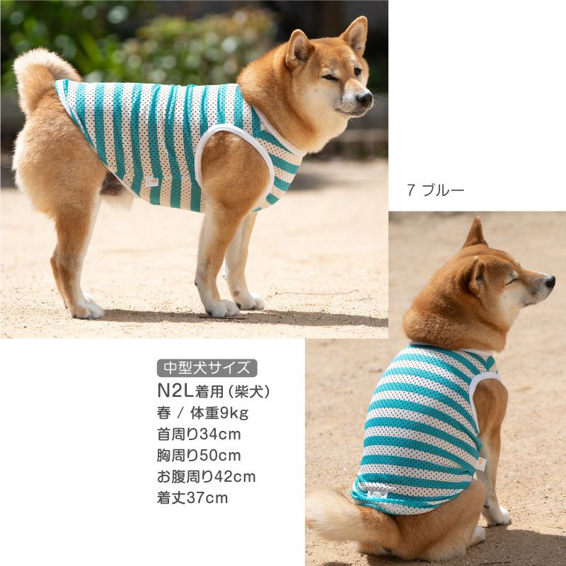 大型犬用 ボーダー メッシュ タンク | ダックス、猫 、小型犬、中型犬