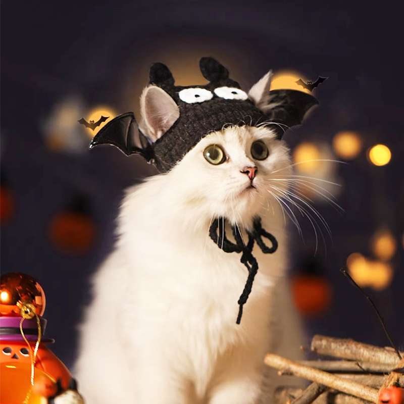 可愛い猫用ハロウィン仮装服30選 - 猫服専門通販 ねこはぴ