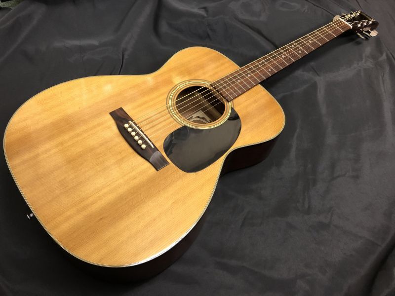 ARIA アコースティックギター F-130 グリーン ARIA アコースティック