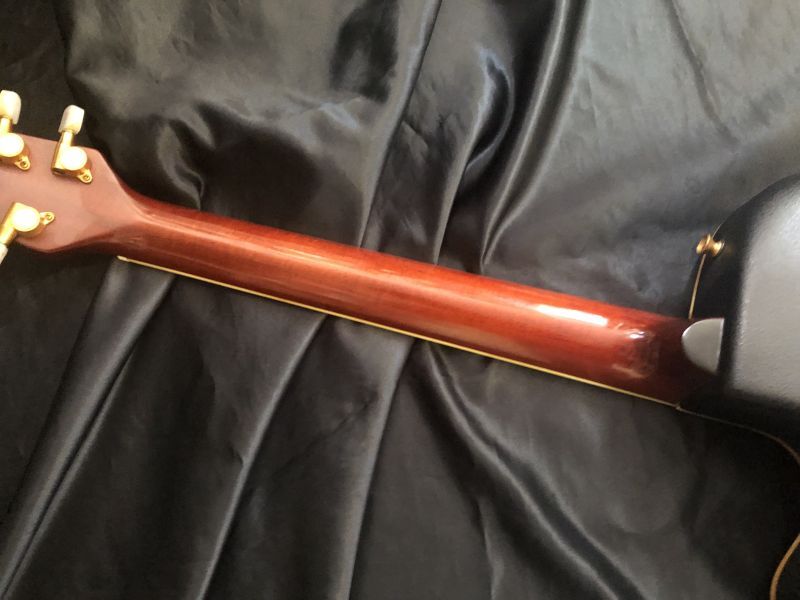 Morris / Tornado ZII-HG エレアコ - HR/HMギター専門店 FUTURE WORLD