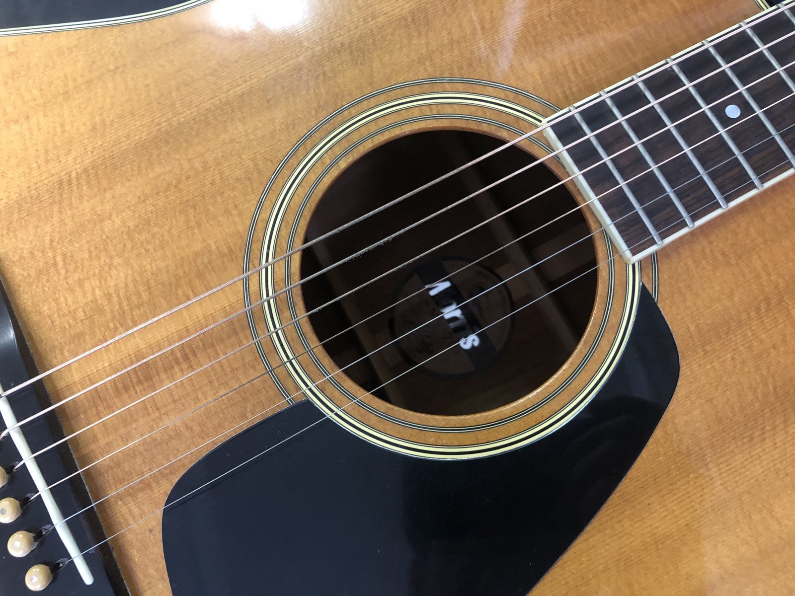 Morris / MV-701 日本製 - HR/HMギター専門店 FUTURE WORLD