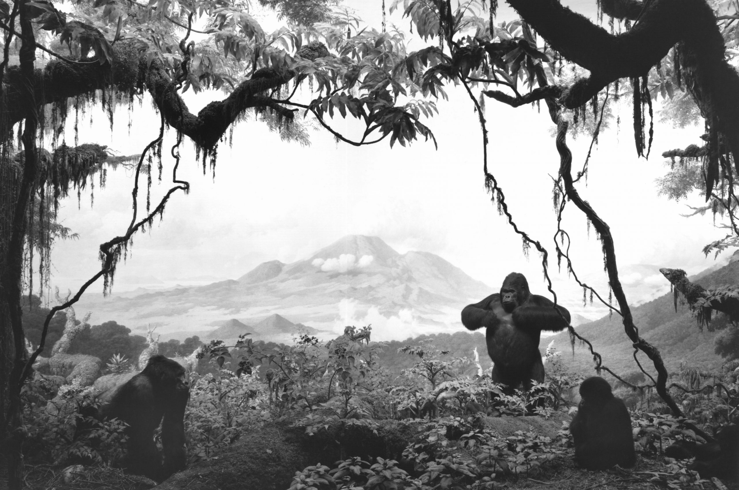 Hiroshi Sugimoto, Dioramas | The Future of Truth