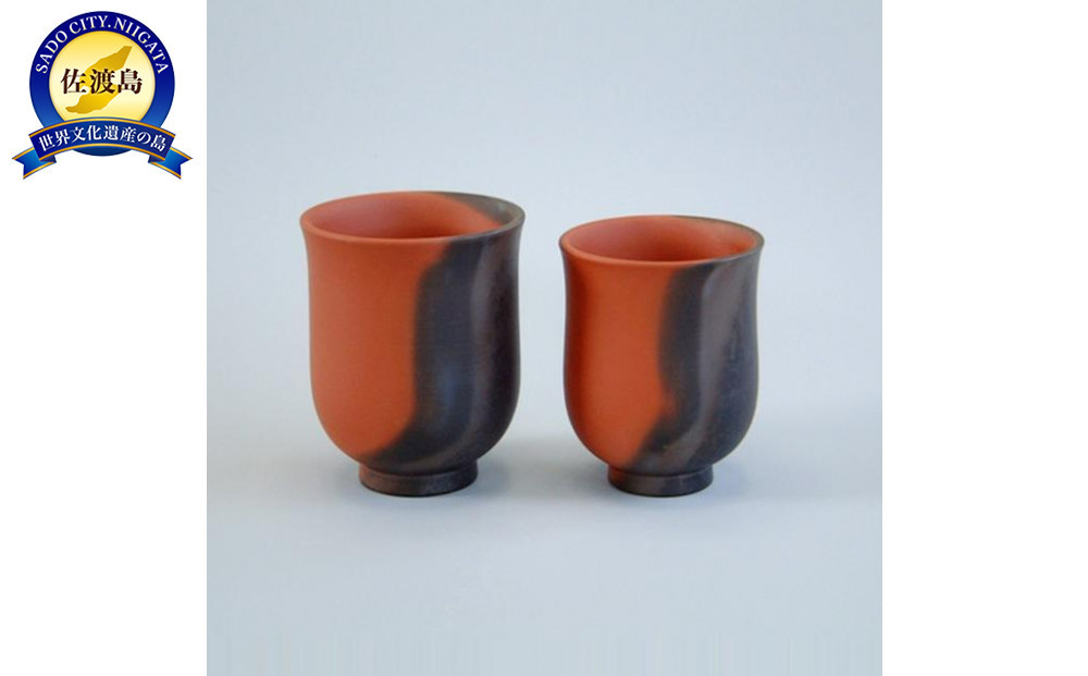 佐渡無名異焼 藤井波山造 朱泥 茶碗五客 急須 湯冷 茶器揃 共箱 VR8436