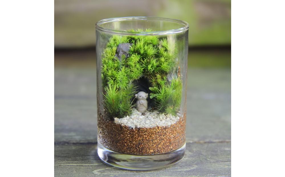 苔テラリウム・コケリウム》鎌倉のやぐら地蔵＿シリンダーS | JTBの