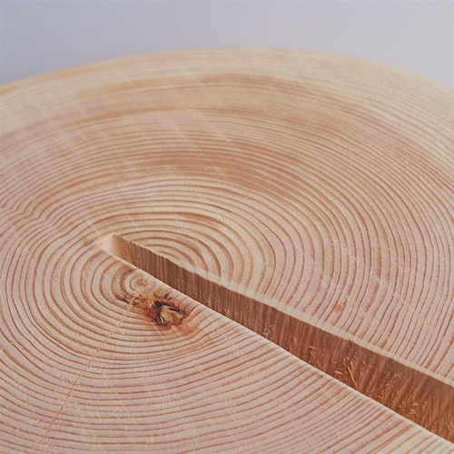 森の丸太くり抜きスツール＜ヒノキ／磨き丸太仕上げ＞/オットマン 本棚