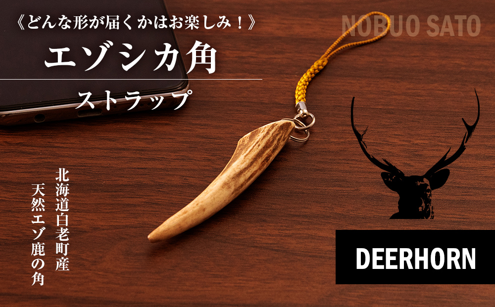 エゾシカのツノ（袋角） エゾシカの角 12本 鹿の角 エゾシカ Amazon.co