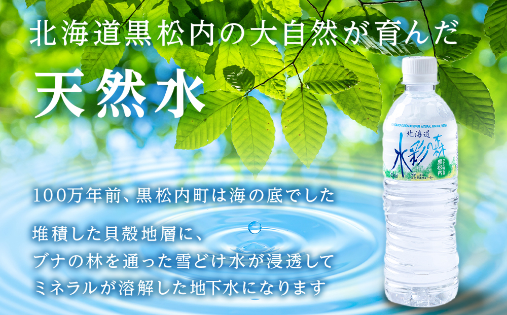 黒松内銘水 水彩の森 500ml×24本（1箱）北海道 ミネラルウォーター