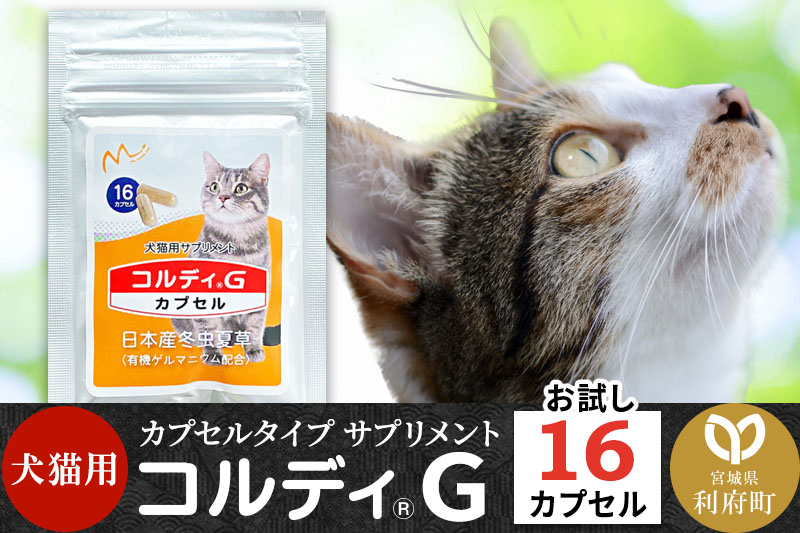 コルディG 100g コルディG (100g) 新品未開封】コルディ G 100g 犬猫