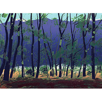 ✨世界で100枚しかない希少作品✨シルクスクリーン版画 ~ A wind ~