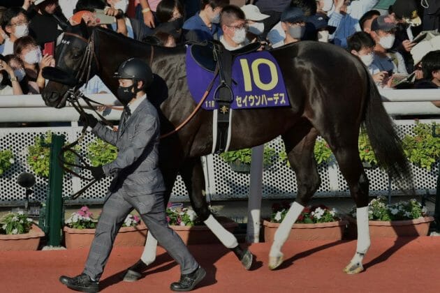 セイウンスカイ 第58回 皐月賞 2人気 1着 第59回 菊花賞 2人気