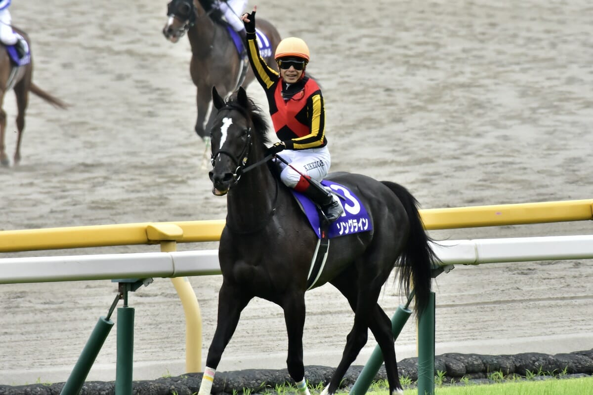 サラブレッドホースコレクション ソングライン池添謙一 20 【ソング