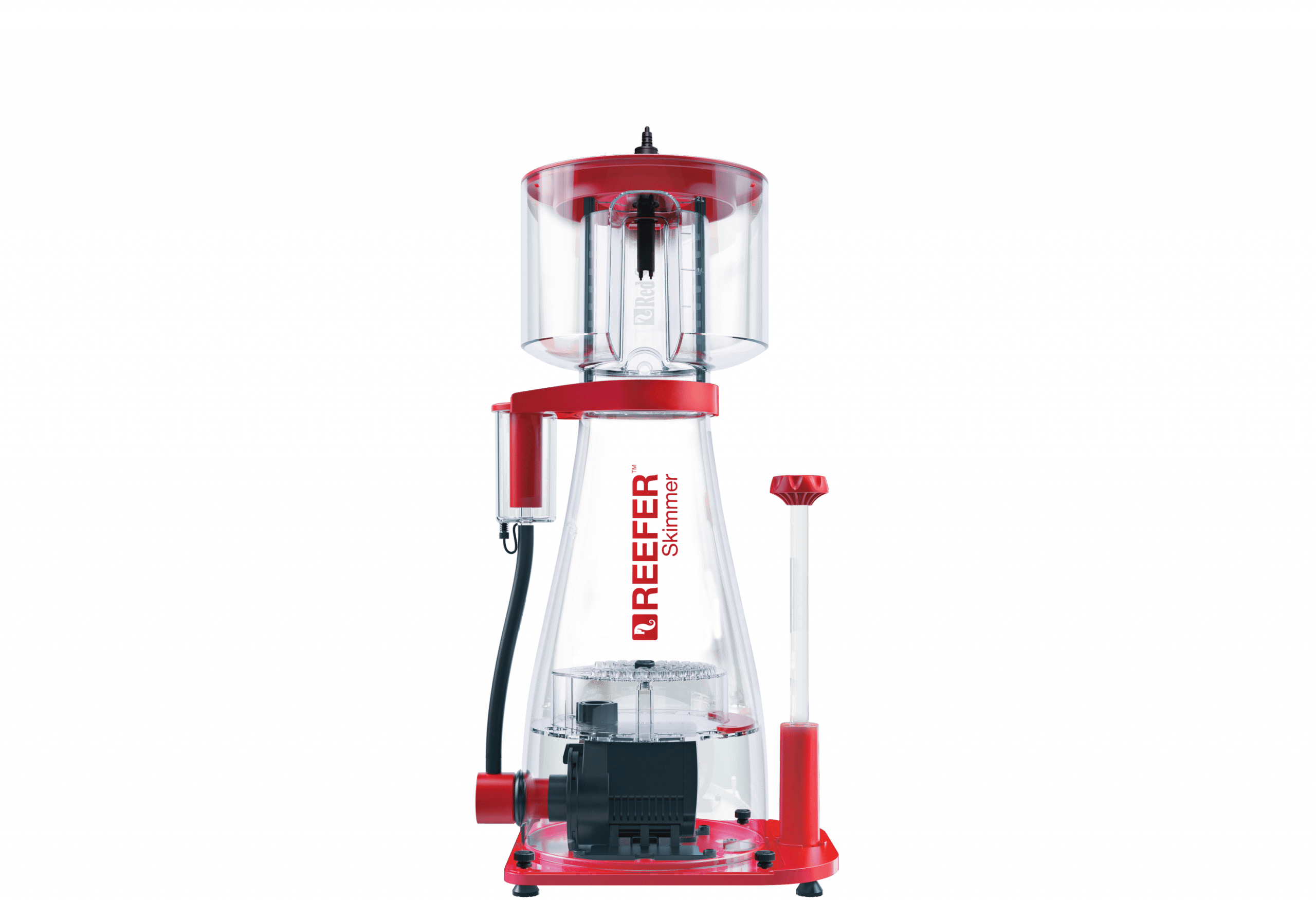 Featured-image-support.-rsk-dc