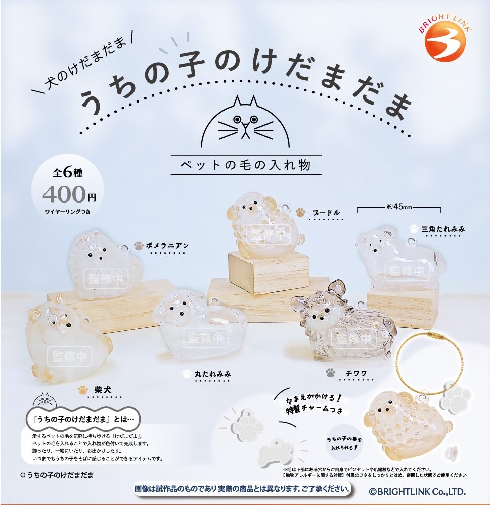 うちの子のけだまだま