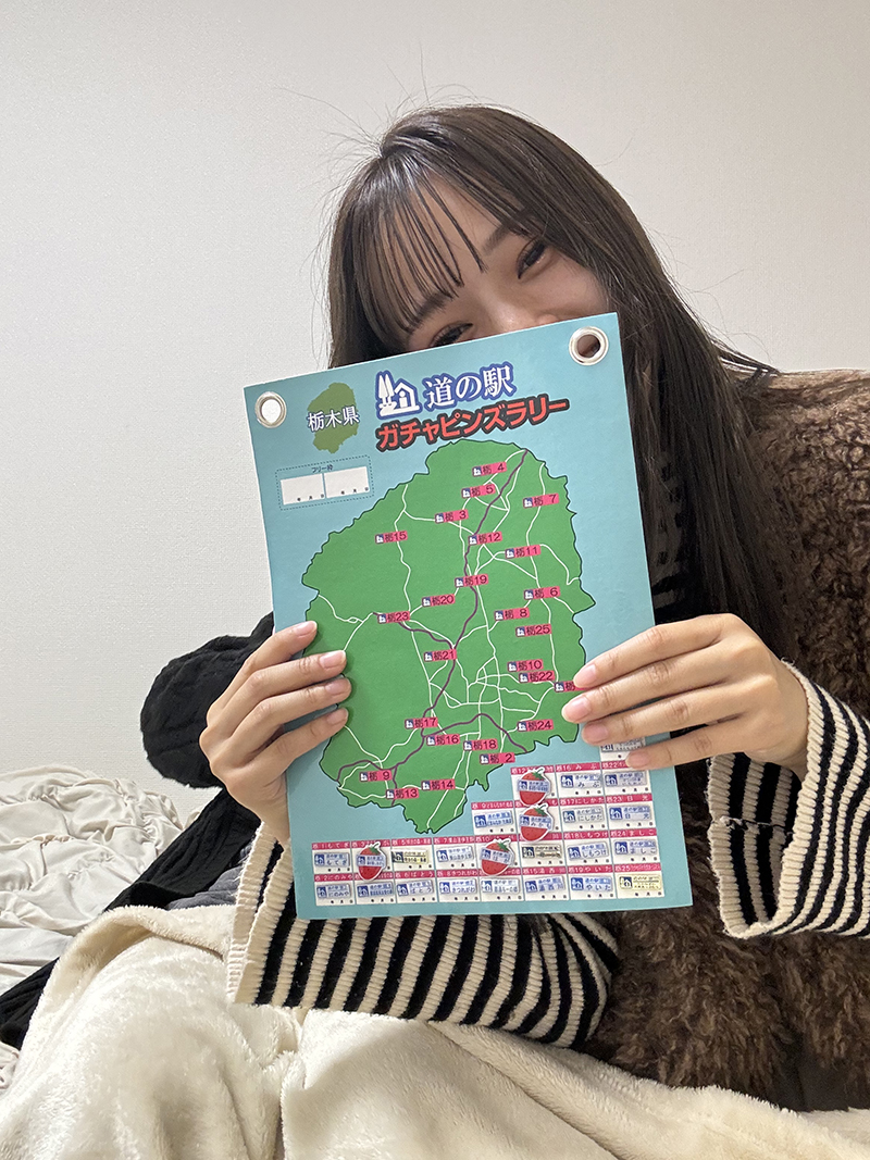 道の駅 栃木県版 ピンズ コンプリート品 道の駅 栃木県版 ピンズ