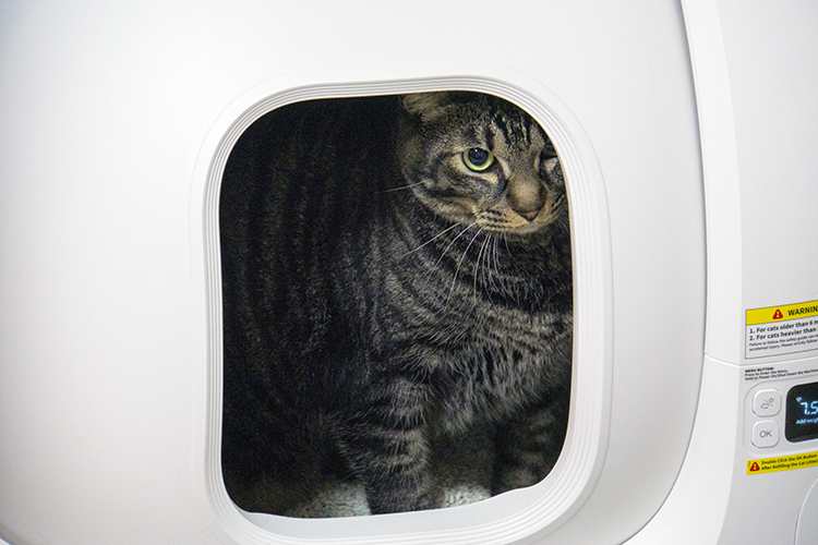 PETKIT 自動給水機 レビュー】謎機構で面白いペット用給水器。ちゃんと