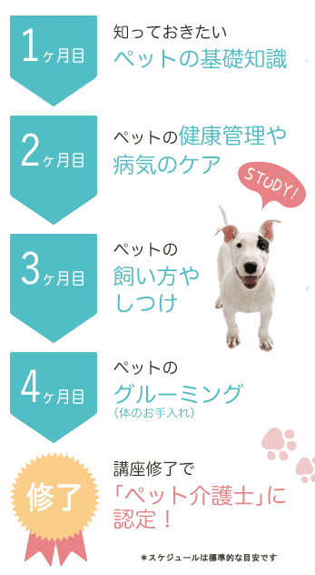 動物看護士・介護士資格講座＊犬・猫 動物看護士・介護士資格講座＊犬・猫