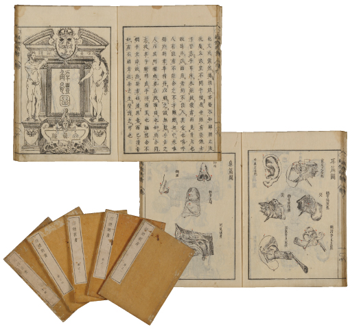 解体新書』｜貴重書ギャラリー｜ギャラリー｜甲南女子学園