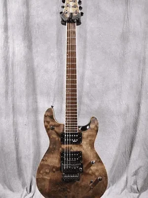 FERNANDES/フェルナンデス エレキギター APG-85S - 楽器の買取屋さん