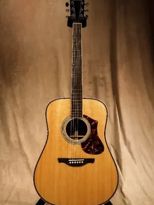 Vesta Graham エレキギター/セミアコースティックギター VGD-1000 1979