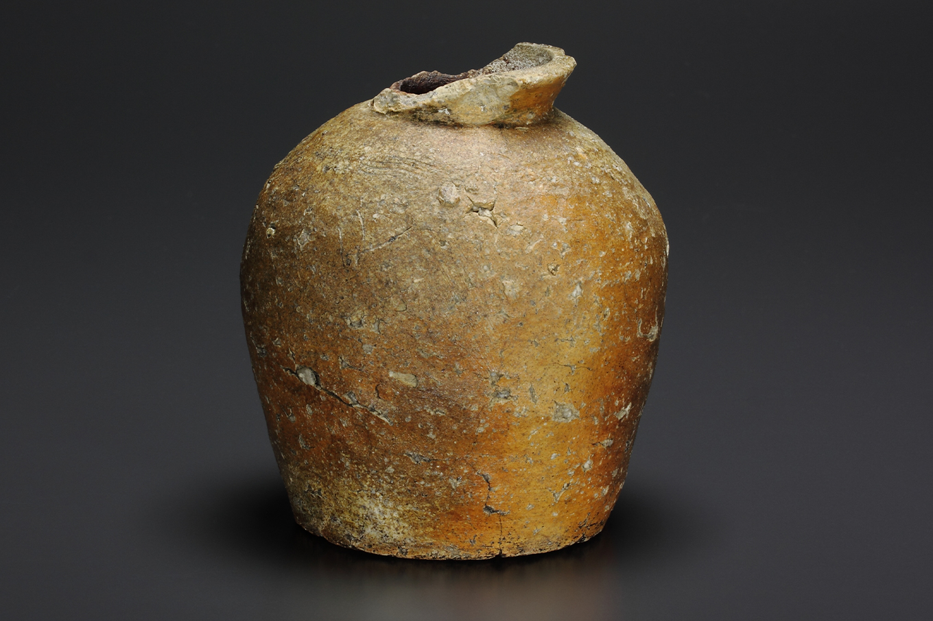 2. 信楽蹲 | やきものの常識は疑いやきものを信じよ！ | ギャラリーラボ