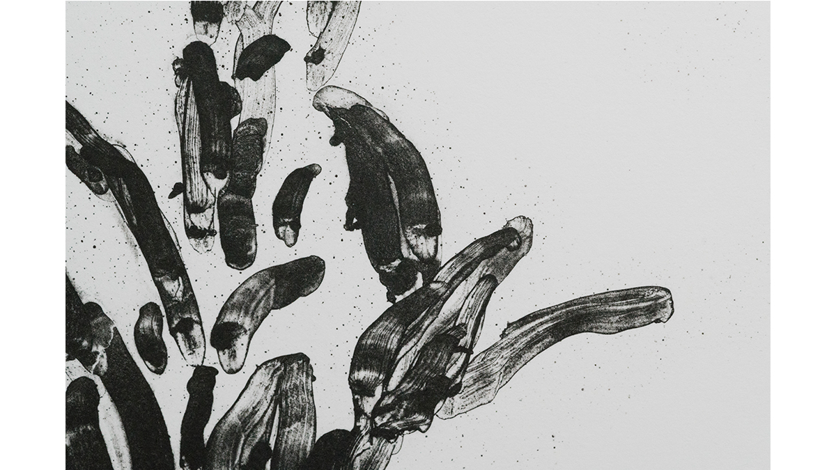 Keisuke Kinoshita / 木下恵介 – GALLERY TAGA 2