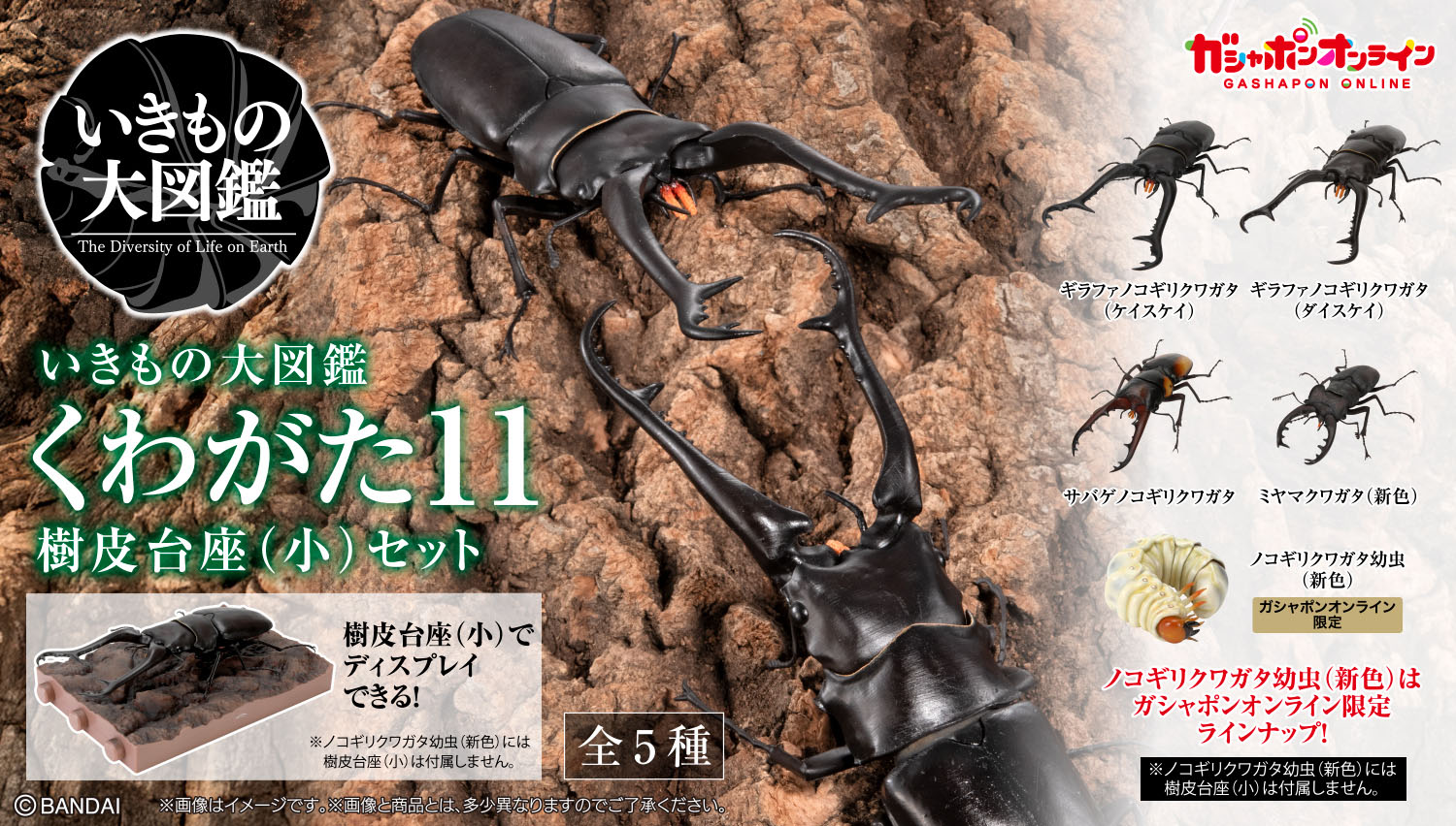 いきもの大図鑑｜ガシャポンオフィシャルサイト