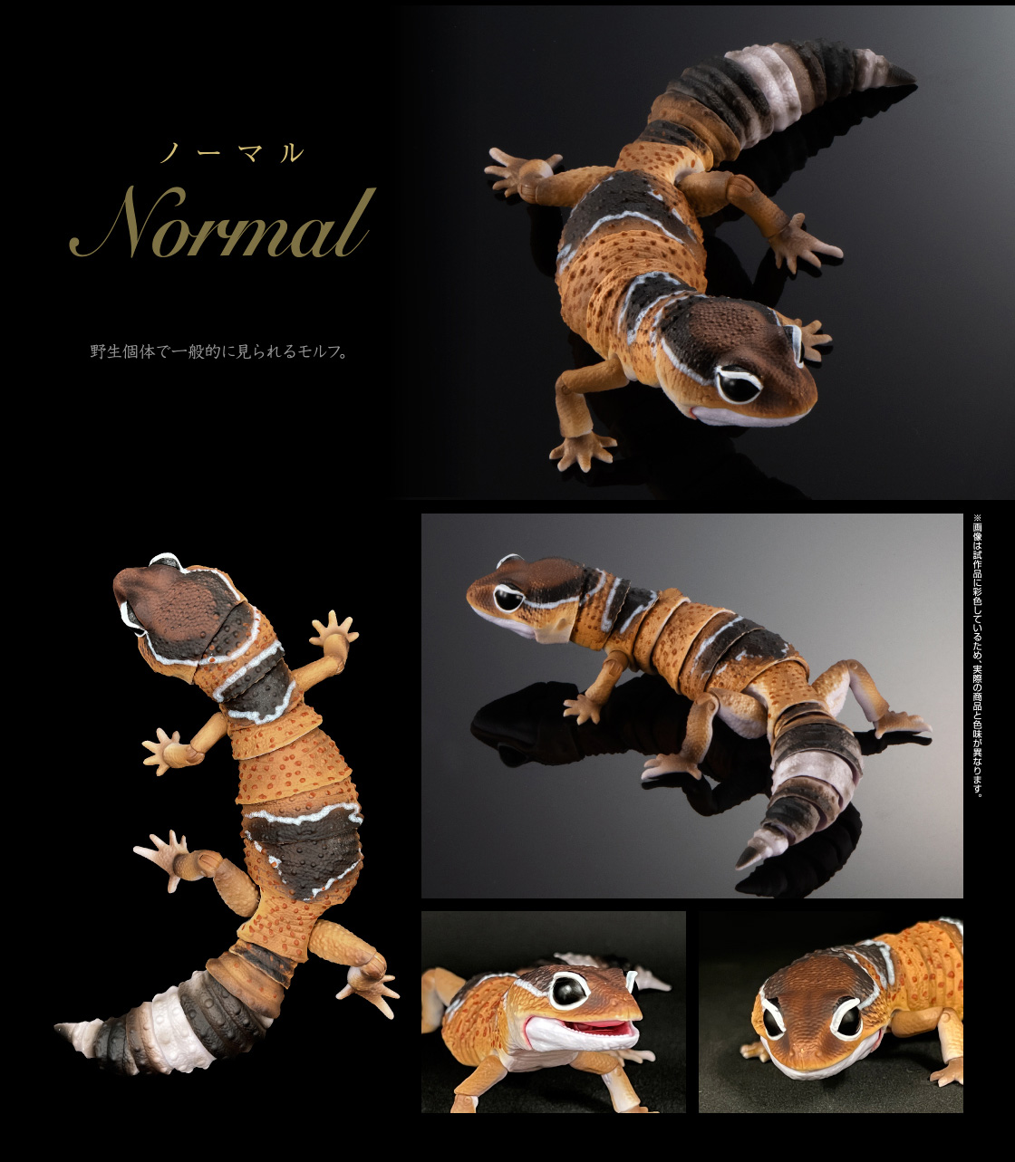動物の惑星】世界88体限定☆ニシアフリカトカゲモドキ（脱皮版）☆2体