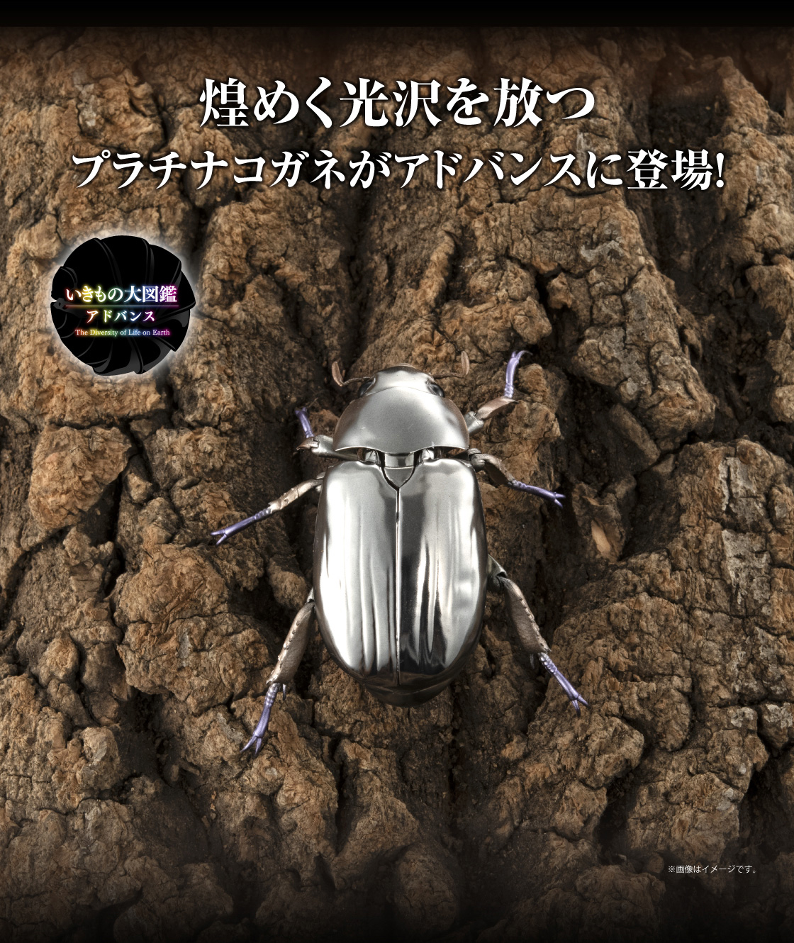 いきもの大図鑑アドバンス プラチナコガネとニジイロクワガタ