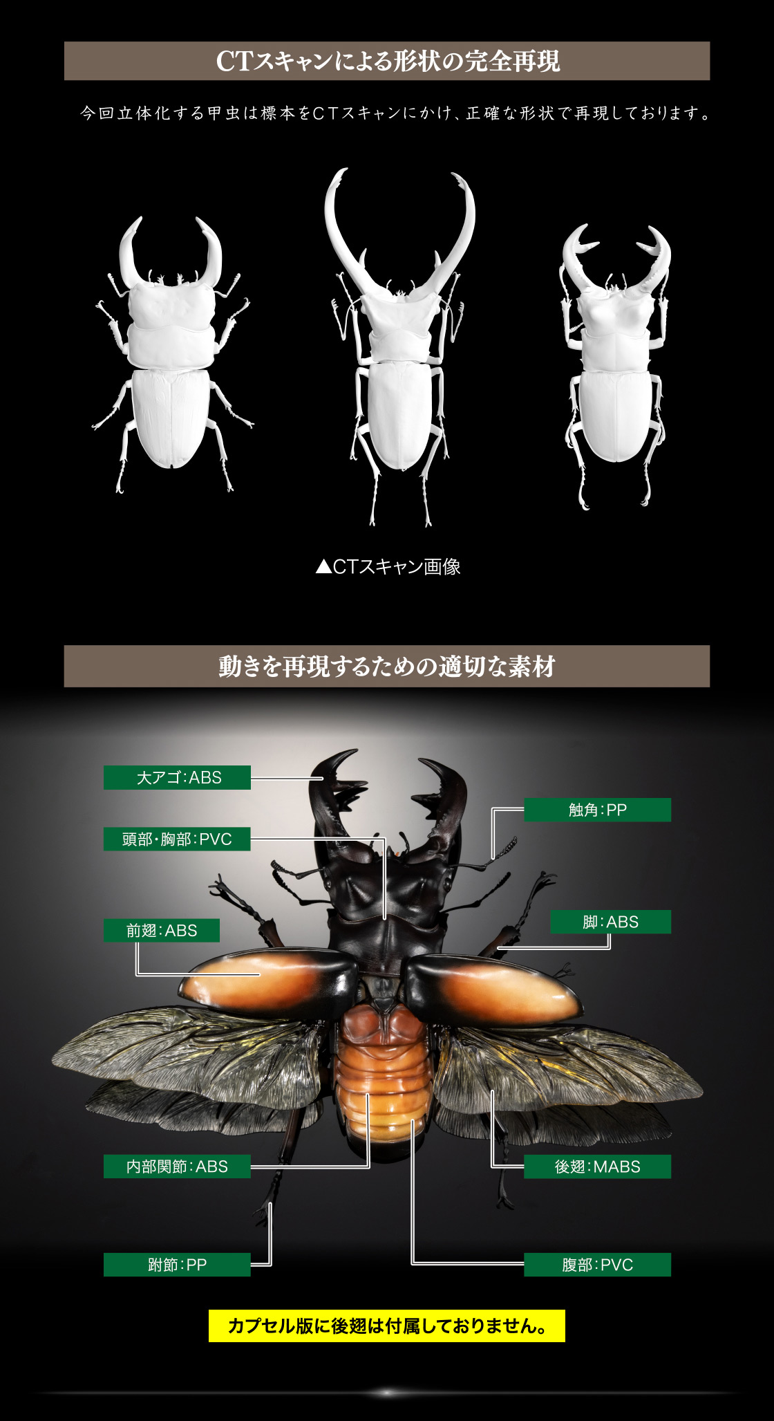 いきもの大図鑑アドバンス クワガタ02｜いきもの大図鑑｜ガシャポン