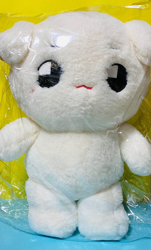 NCT127 テヨン テョンヤ 40センチ 2025年最新】テヨン ぬいぐるみ 40cm