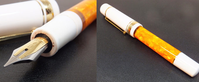 デルタのフュージョンニブの万年筆 (ドルチェビータ・フェデリコの別注