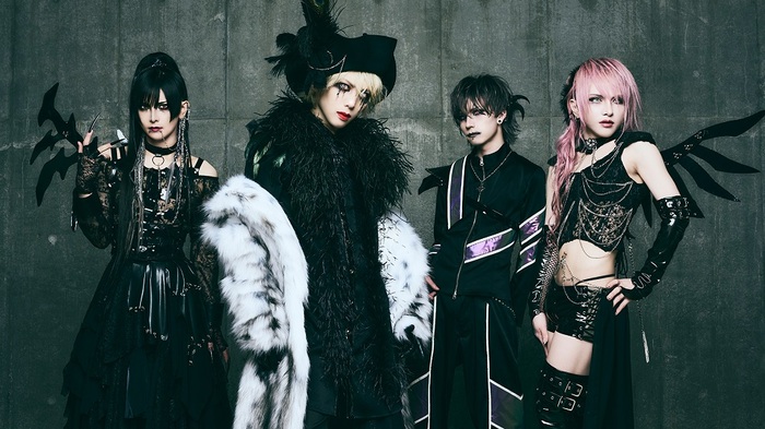 JILUKA、ライヴDVD『LIVE : THE SYNERGY』来年3月リリース決定