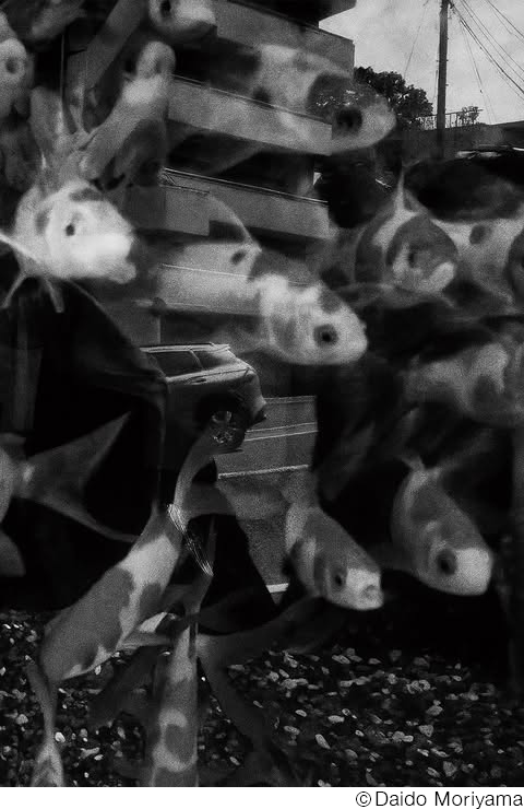 森山大道 オリジナルプリント 東日本大震災支援プロジェクト モノクロ