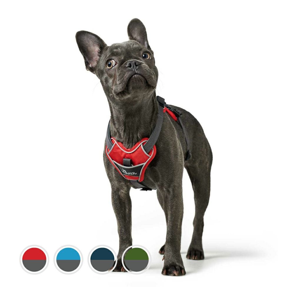 000000002085-01.jpg?size=l&w=