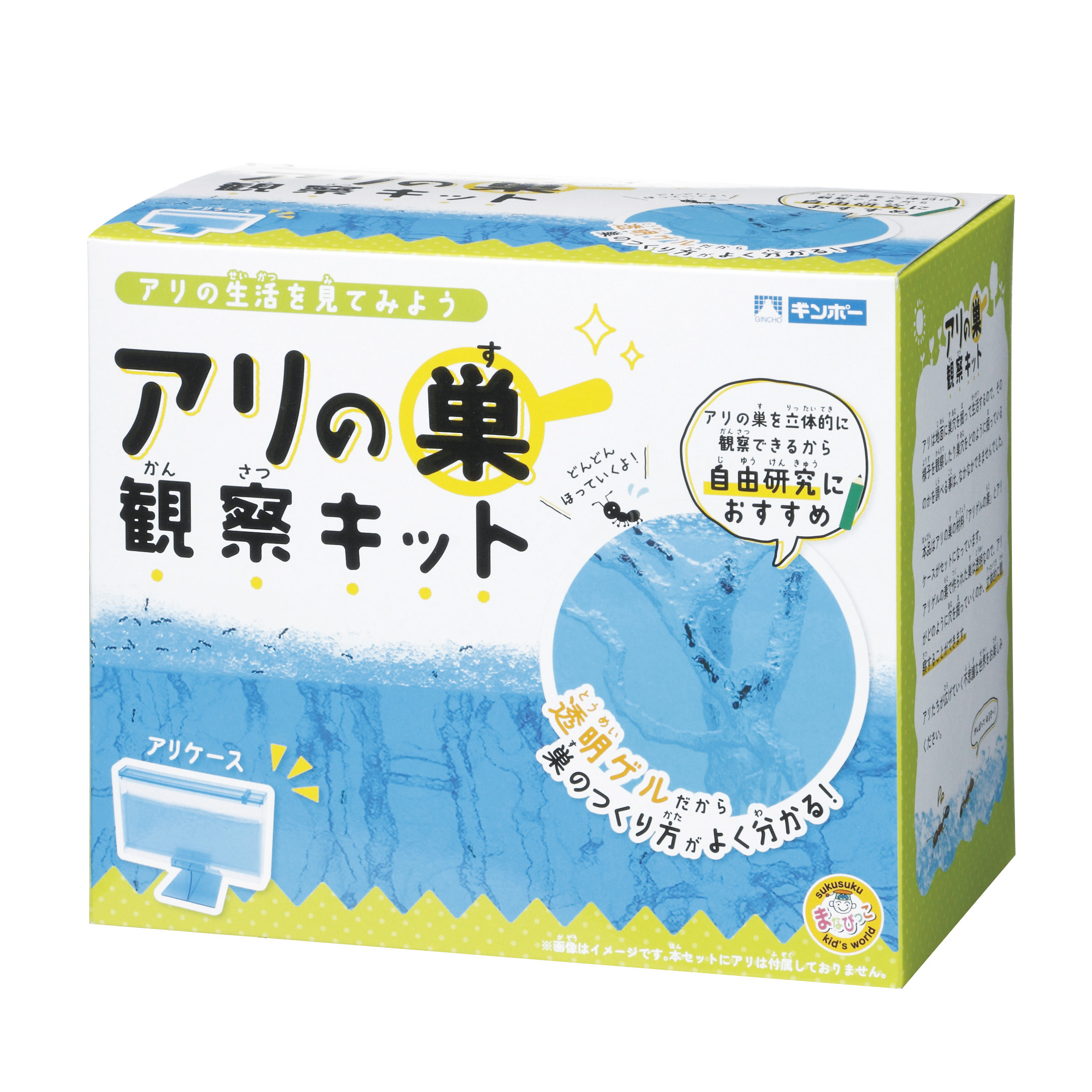 アリの巣観察キット