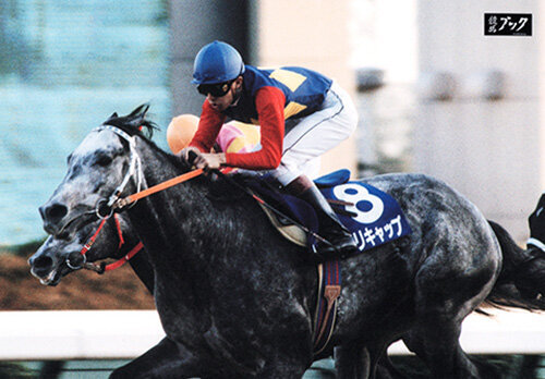 第33回有馬記念(G1)オグリキャップ優勝オルゴール 1990 Arima Kinen