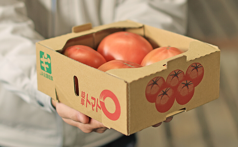 岐阜県｜旬の食材｜冬春トマト｜身がしっかりとした食味が良いおいしい