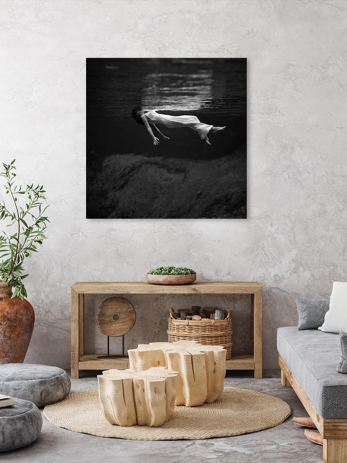 Weeki Wachee Spring/トニ フリッセル/ポスター Weeki Wachee Spring