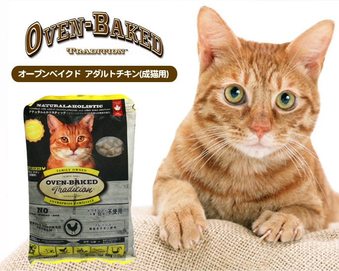 ELMO エルモ キャットフード 成猫用 インドア2kg×2袋 ELMO ELMO