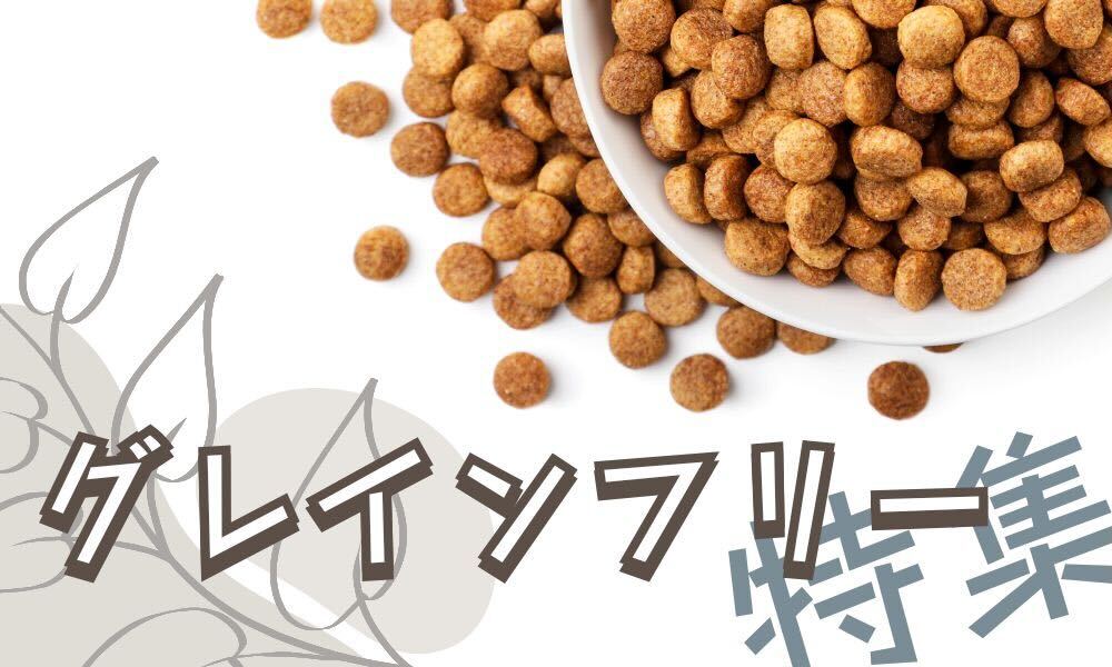 ファーストチョイス ChoiceS 成犬用ラム 成犬用【ブリーダー用