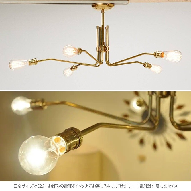 ACME Furniture SOLID BRASS LAMP 5灯 ACME Furniture SOLID BRASS